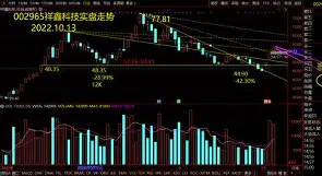 Polkadot创下年内新高，上扬幅高达11.25%，还能追吗？