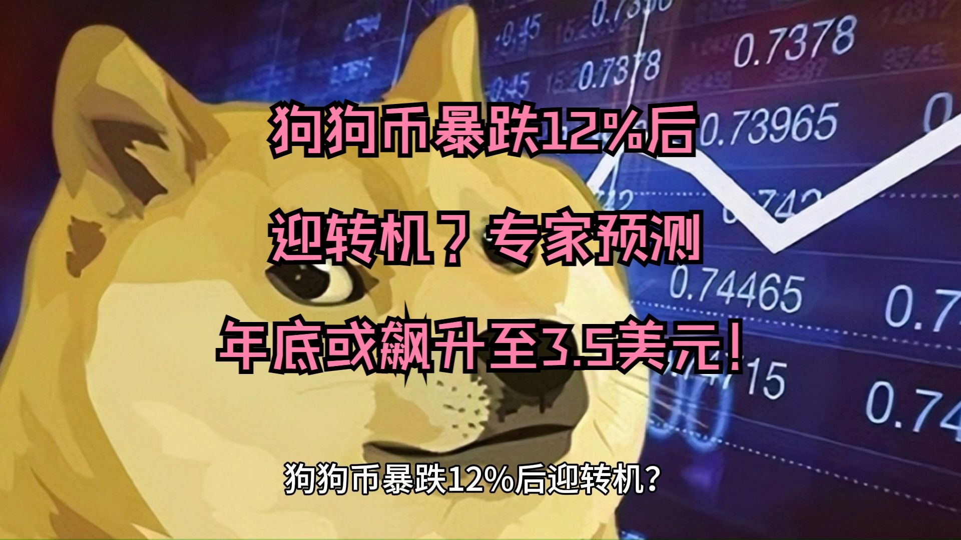 狗狗币冲破11.99美元大关，牛市是否已来临？