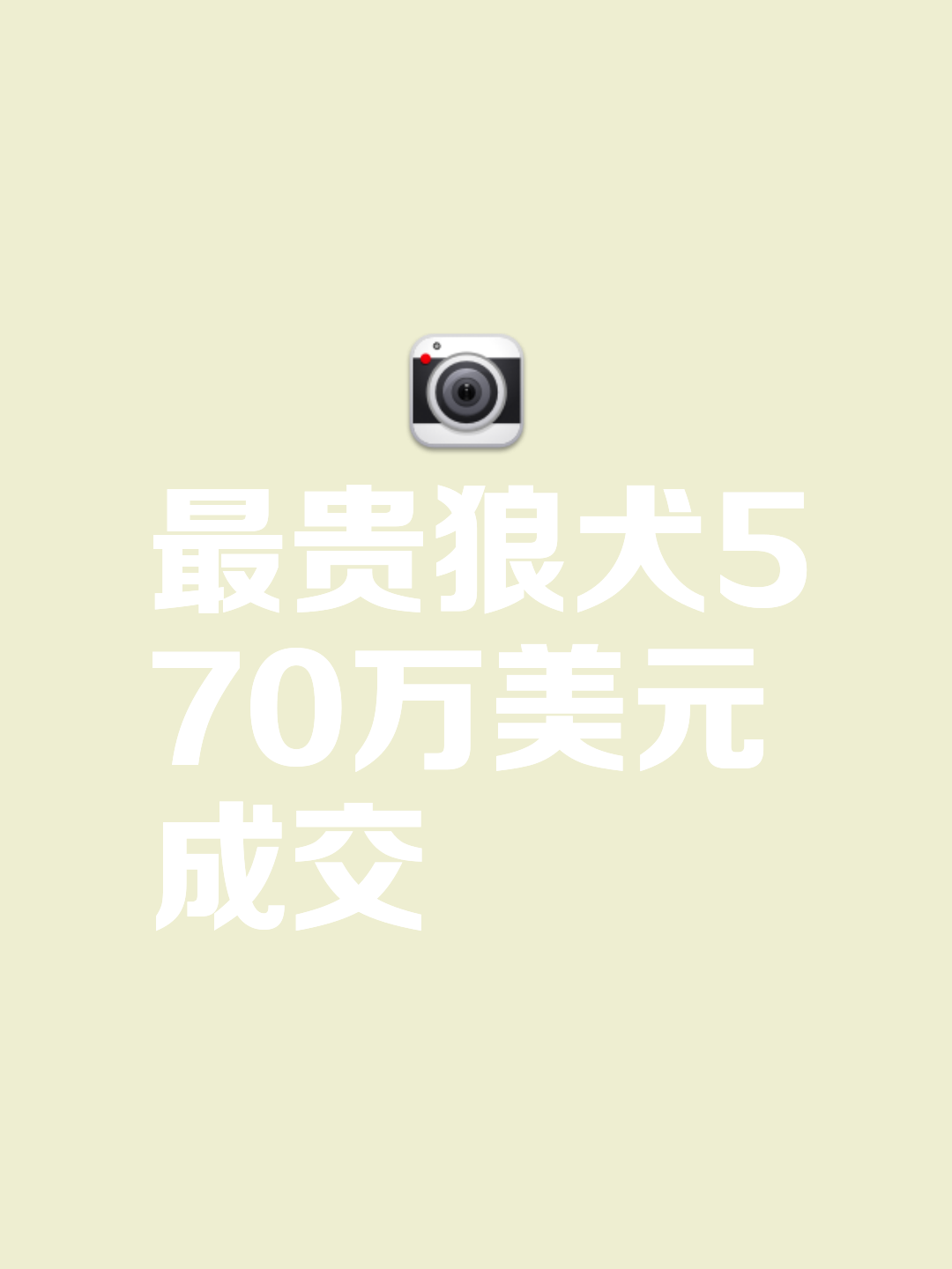 开云登录入口-狗狗币骗局曝光被揭穿，已有超FTX人被骗！，投资者瞩目