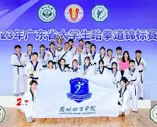 跆拳道夜战：海滨银狐队翻盘南城猎隼队，临门一脚致胜技战术储备厚实的简单介绍